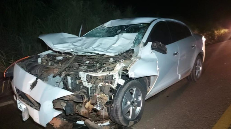 Cavalo solto provoca acidente na BR 174B em Pontes e Lacerda