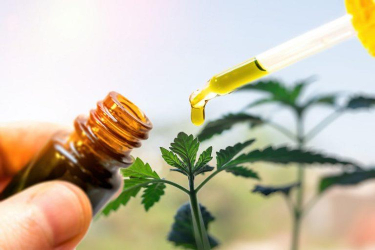 Deputados aprovam PL que autoriza distribuição de remédios à base de canabidiol em MT