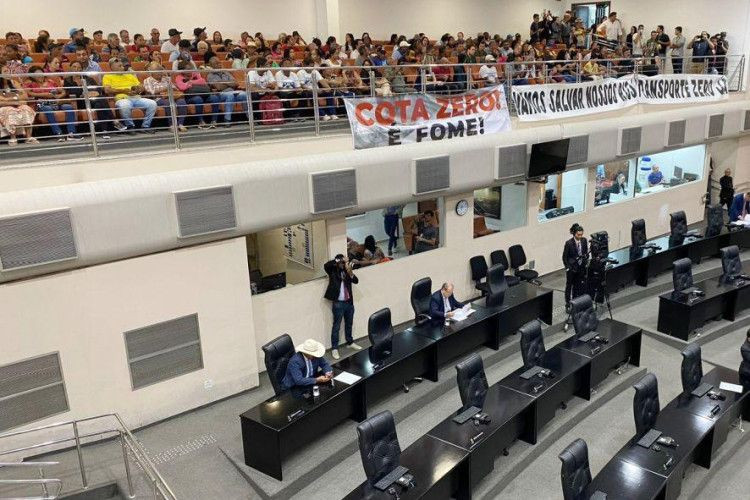 Deputados aprovam projeto que proíbe transporte de peixes por 5 anos. Medida entra em vigor no ano que vem