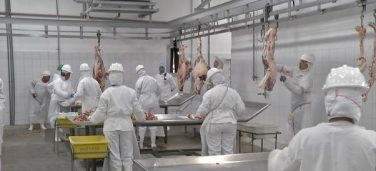 Embargo da carne pela China gera prejuízo na ordem de US$ 18 milhões em MT