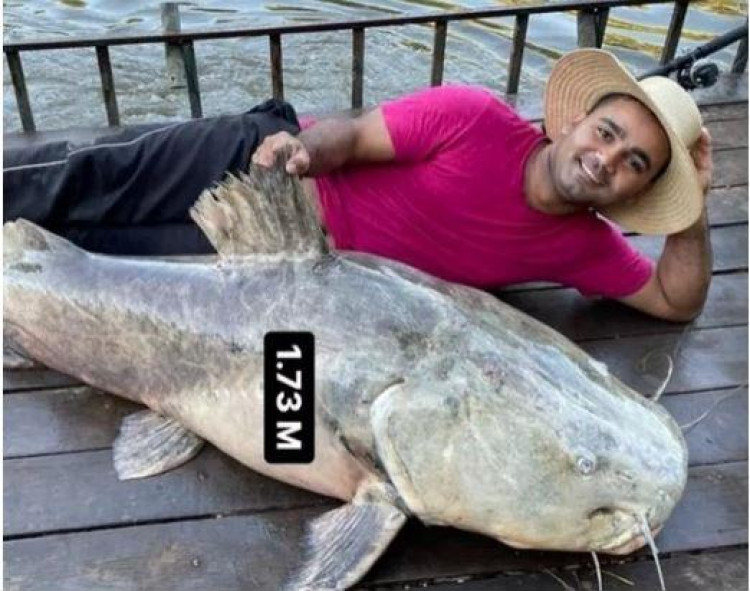 Empresário de MT trava ‘briga’ com jaú de 150 kg e depois devolve animal ao rio