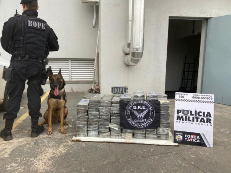 Forças policiais apreendem quase 214 kg de cocaína avaliados em mais de R$ 5,3 milhões que saiu de Pontes e Lacerda