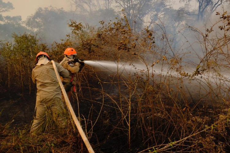 Governo define período proibitivo do uso do fogo em MT