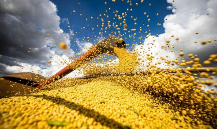 Imea estima alta de 6,91% no valor bruto da produção de Mato Grosso para 2023