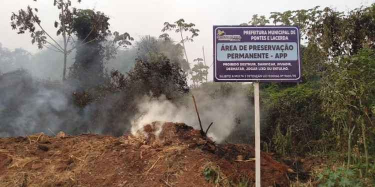 Incêndio é registrado em área de mata reservada no jardim Bela Vista