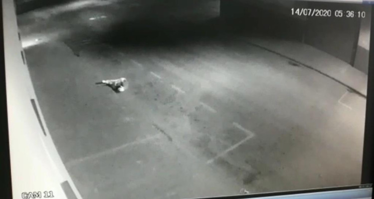 Motorista atropela motociclista e foge do local sem prestar socorro à vítima