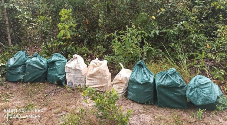 Nas garras do Gefron: Traficantes perdem quase sete milhões em drogas na fronteira