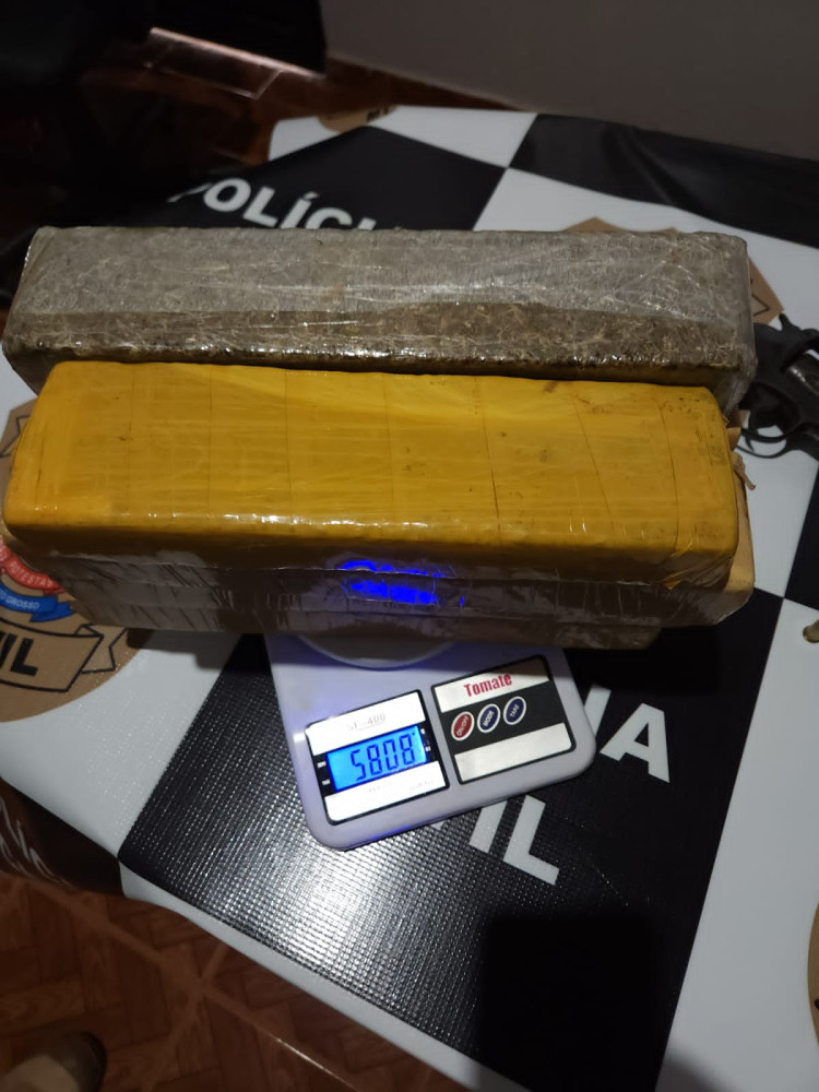 Polícia Civil prende mulher com tabletes de maconha, arma e munições em Campos de Júlio