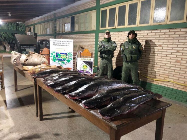 Quase 100 kg de pescado são apreendidos em Cáceres