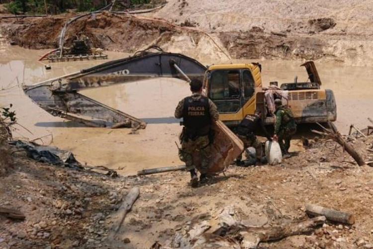 Reserva Sararé em Pontes e Lacerda tem 340 hectares de floresta degradados