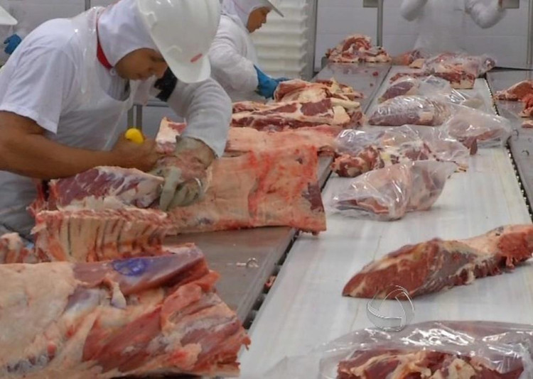 Rússia suspende restrições sobre carne bovina de Mato Grosso