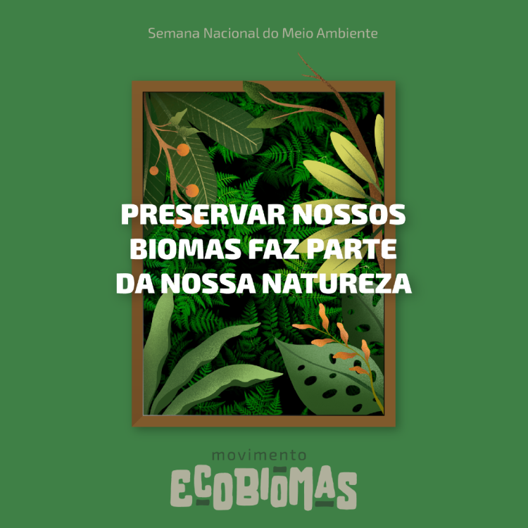 Sicredi inclui sustentabilidade na estratégia de gestão